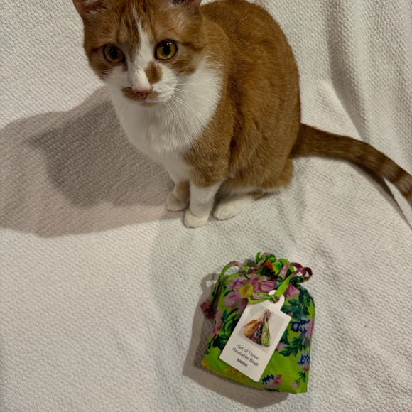 BAGGU NWT Set of Three Reusable Tote Bags - Picture 2 of 8